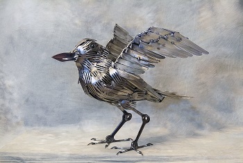 Crow Wings