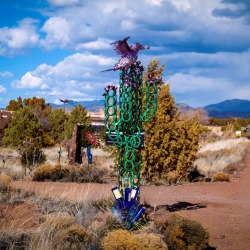 Saguaro 2017