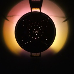 Wok Sconce Night Light