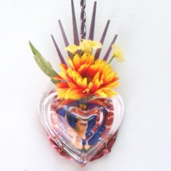El Corazon de Frida