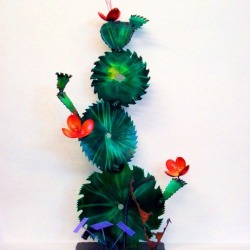 Cactus in Bloom