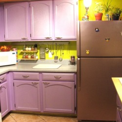 Kitchen Mural 05