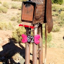 Dusty Paws - custom mailbox
