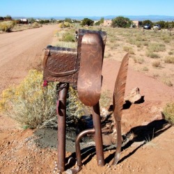 Dusty Paws - custom mailbox