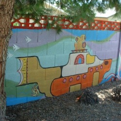BACKYARD MURAL 04