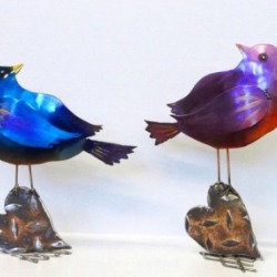 New Bird Series 2014