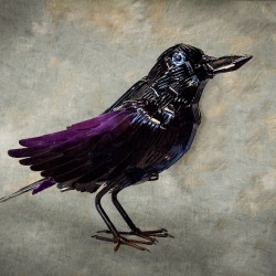 Pattys Raven 2015.jpg