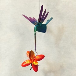 May FlynGBirds 2015 (5).jpg