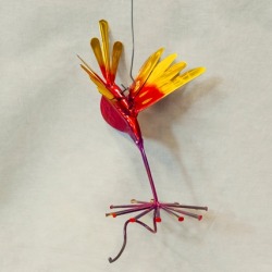 May FlynGBirds 2015 (7).jpg