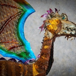 Meet your new dragon 2015 (3).jpg