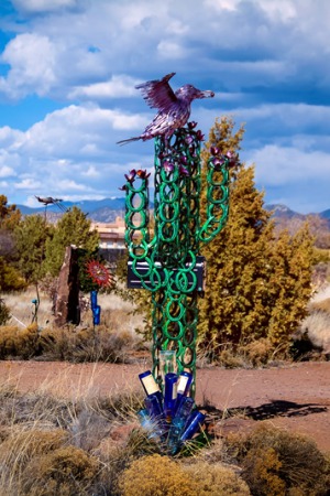 Saguaro 2017