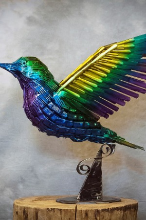 Pretty Bird 2017