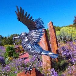 Ws Art Raven Sept 2016