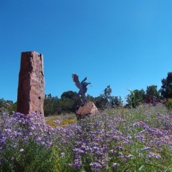 Ws Art Raven Sept 2016