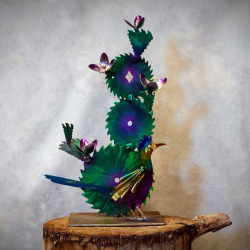 Fb Saw Blsm Rr 2017 (2)