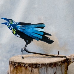 Gcandelaria Filligree Birds