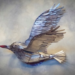 Stour Wall Bird 2018