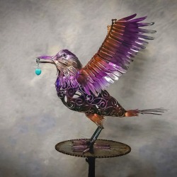 Stour Wingsup Raven 2018