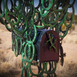 Saguaro 2017 Mailbox (3)