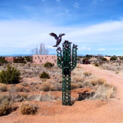 Wsaguaro 2017 Mailbox