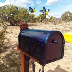 Wbst 2 Bonito Rd Post2