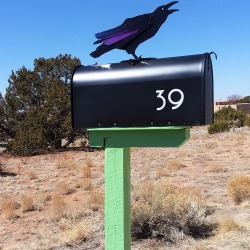 Wbst 39 Azul Loop Post