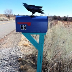 Wbst 66 Monte Alto Post