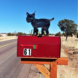 Mb Hbcat Topref Post 22 Fx